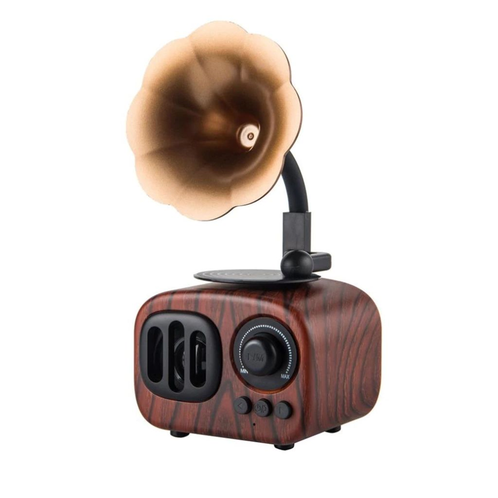 Maxcam Nostaljik Mini Radyo Gramofon Bluetooth / Radyo